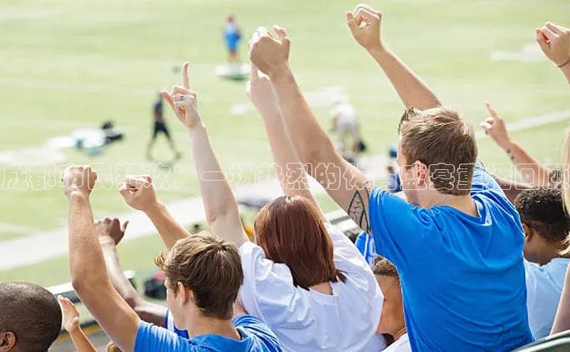 新宝gg创造奇迹平台总代理