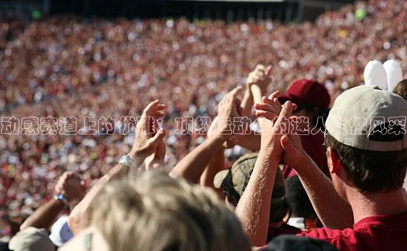 新宝gg在线注册