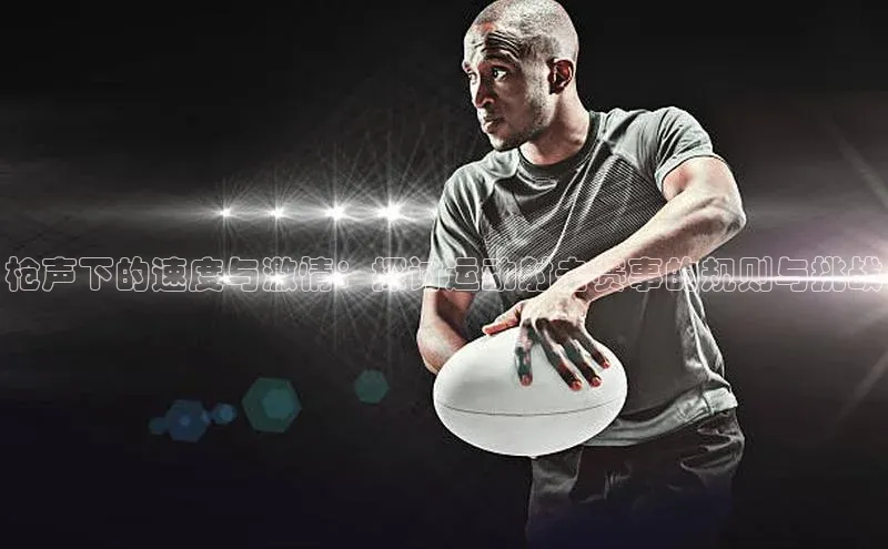 新宝登录app入口手机版