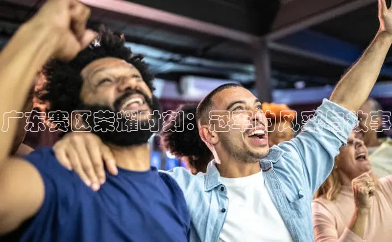 新宝登录app入口手机版