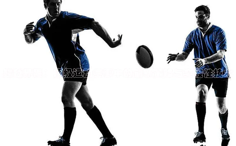 新宝gg官网登录地址