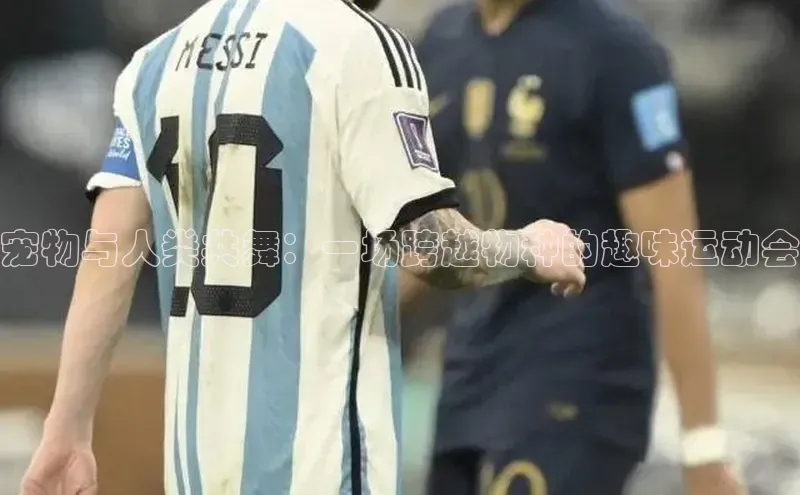 新宝gg创造奇迹平台总代理