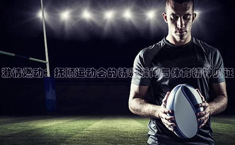 新宝网站登录入口